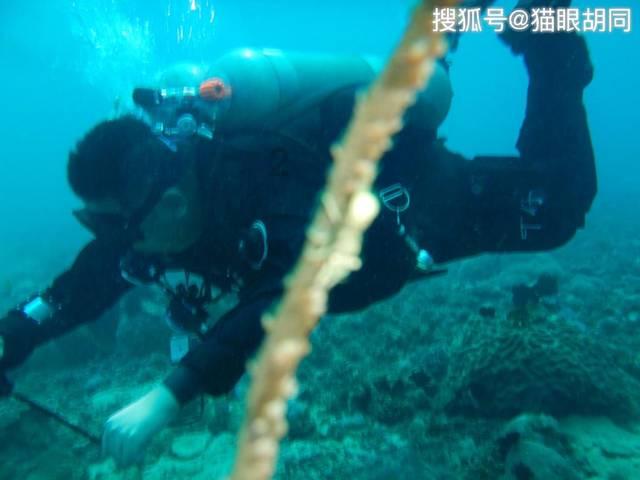 一个长方形，如果把它的宽增加4厘米，则长方形变成正方形，这时面积增加56平方厘米，
